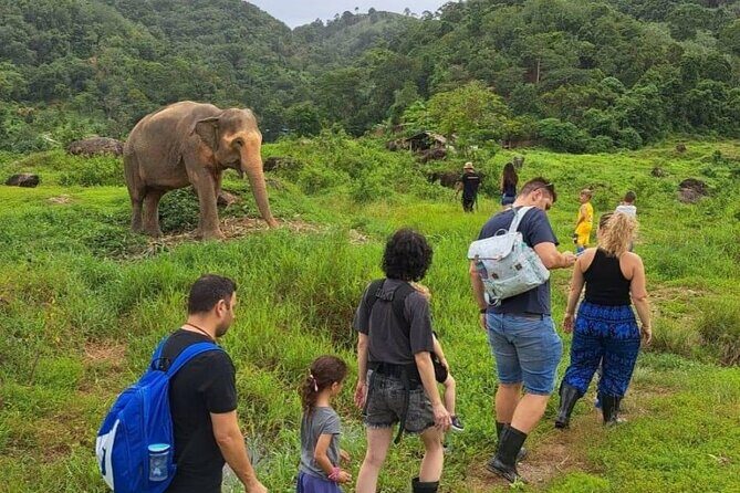 Phuket City Tour & Elephant Sanctuary – Town, Temple, Food & View - Apong Konyo Samkong: The Snack Stop That Sets the Tone