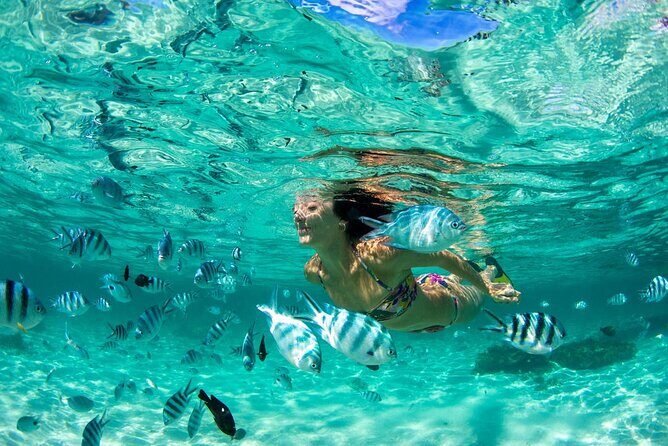 Phuket Coral Island Private Snorkeling Adventure All Inclusive - Key things I’d watch before you go