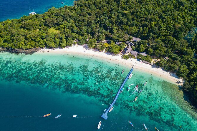 Phuket Coral Island Private Snorkeling Adventure All Inclusive - Coral Island snorkeling with turtles and native wildlife