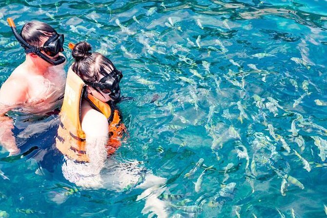 Phuket Dolphin Quest: Racha & Maiton Island Expedition - Racha Noi and Pirates Beach: your first real look at the reef