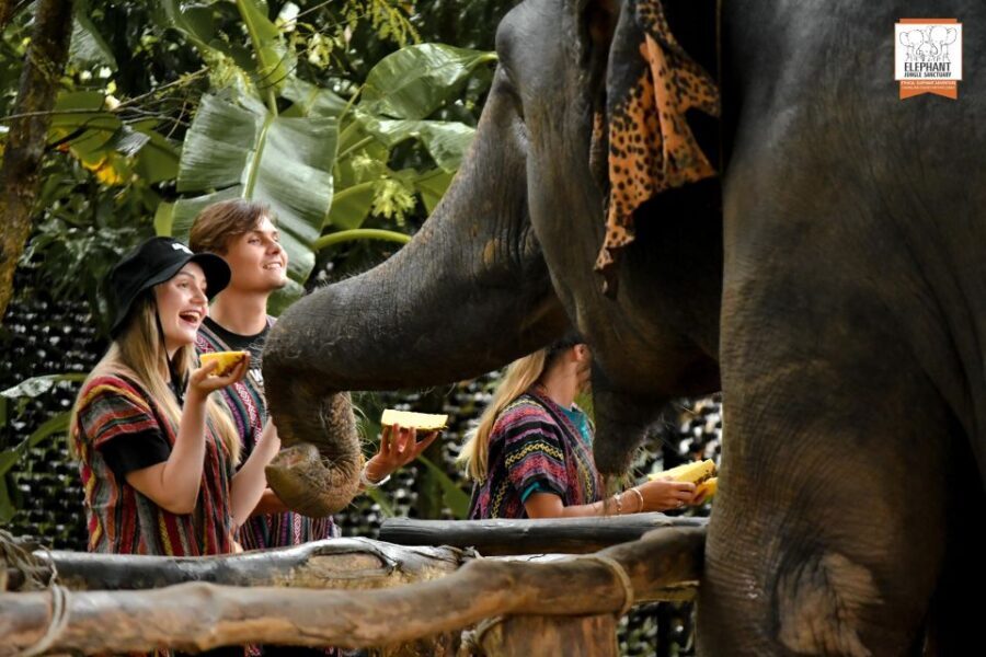 Phuket: Elephant Jungle Sanctuary Ethical Feeding Experience - Elephant Jungle Sanctuary Phuket and the Feed Me idea