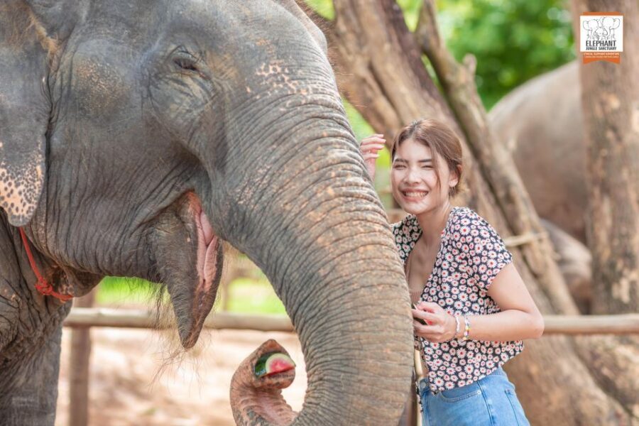 Phuket: Elephant Jungle Sanctuary Ethical Feeding Experience - Meeting at Elephant Jungle Cafe: the start of your sanctuary visit