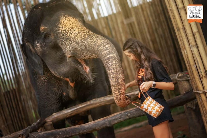 Phuket: Elephant Jungle Sanctuary Ethical Feeding Experience - Price and value: what $28 includes (and what you’ll pay extra)