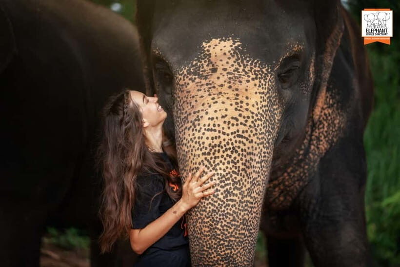 Phuket: Elephant Jungle Sanctuary Ethical Feeding Experience - Practical tips: what to bring and how to make the photos work