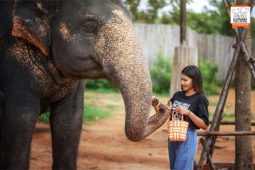 Phuket: Elephant Jungle Sanctuary Ethical Feeding Experience - FAQ