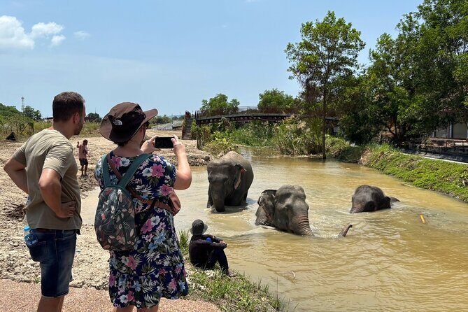 Phuket: Elephant Nature Walk - Guided Tour with Transport - Price and Value: Is $52.15 Worth It?