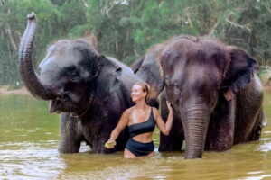 Phuket: Elephant Sanctuary Feed and Bathe Gentle Giants - Getting There: Transfers, English Guide, and What’s Actually Included