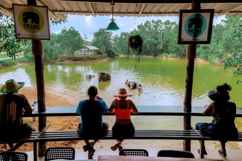 Phuket: Elephant Sanctuary Feed and Bathe Gentle Giants - Photo Time Without the Panic: Unlimited Sessions with the Elephants