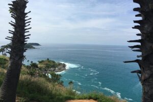 Phuket Full Day City tour & Lunch & Tiger Park - Pickup, timing, and how the day actually fits together