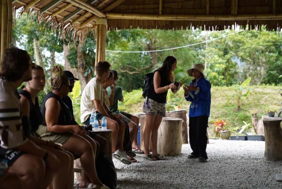 Phuket: Guided Tour to Elephant Sanctuary & Hotel Transfer - Where the Elephant Sanctuary Fits in Your Phuket Day