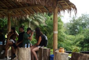 Phuket: Guided Tour to Elephant Sanctuary & Hotel Transfer - Van Ride, Pickup Zones, and How Long You’ll Actually Be Out