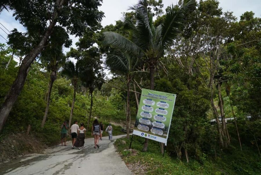 Phuket: Guided Tour to Elephant Sanctuary & Hotel Transfer - Feeding Rice Balls and Meeting the Elephants Up Close
