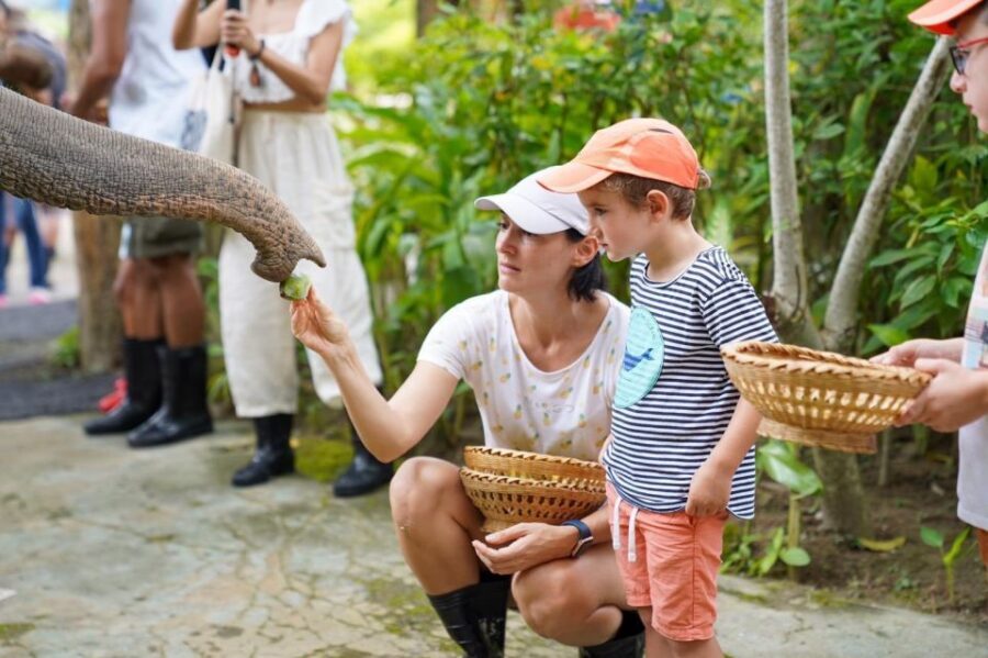 Phuket: Guided Tour to Elephant Sanctuary & Hotel Transfer - Photos, Water, Mosquitoes, and What to Pack