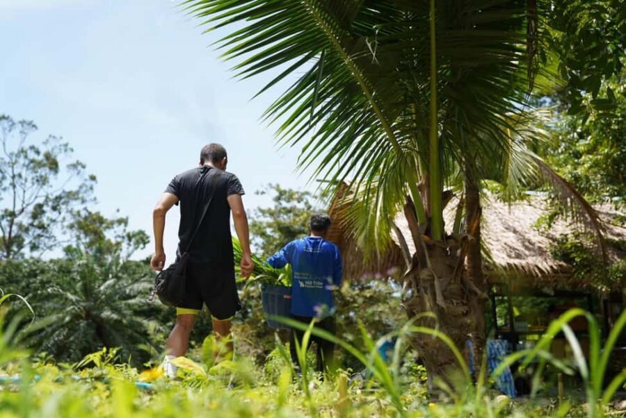 Phuket: Guided Tour to Elephant Sanctuary & Hotel Transfer - Price and Logistics: Is $38 Good Value?