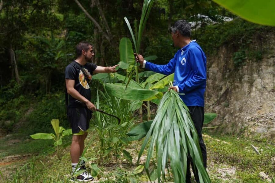 Phuket : Guided Tour to Elephant Sanctuary with Transfers - Should You Book This Phuket Elephant Sanctuary Tour?