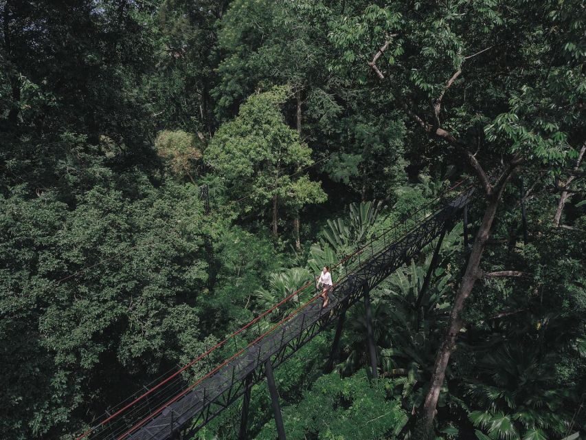 Phuket: Hanuman World Zip Line Adventure - Key Points You’ll Care About