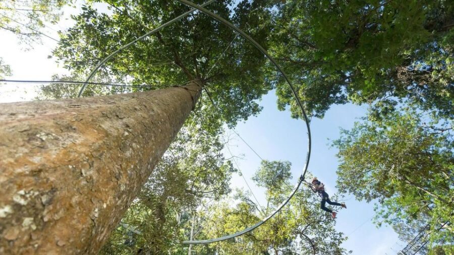 Phuket: Hanuman World Zip Line Adventure - Price and Value: What You’re Actually Buying for $112
