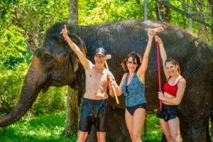 Phuket: Happy Hour Feed and Rain Shower with Elephant - No Riding, No Sea Bathing: The Boundaries That Matter
