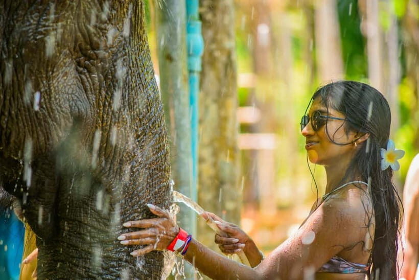 Phuket: Happy Hour Feed and Rain Shower with Elephant - Price and Value: Why $37 Can Be Fair Here