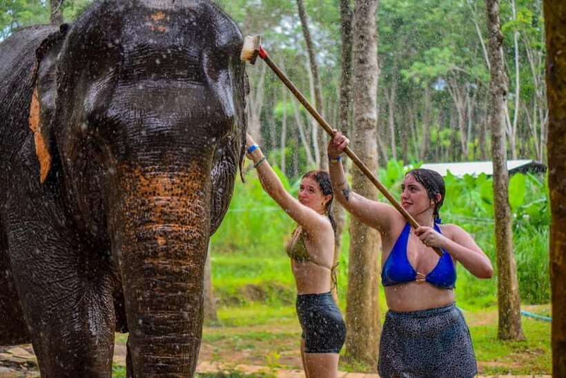 Phuket: Happy Hour Feed and Rain Shower with Elephant - Finding Lily Elephant Camp Phuket (and Avoiding the 2:30 pm Stress)