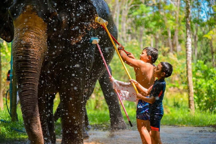 Phuket: Happy Hour Feed and Rain Shower with Elephant - The Surroundings: Near Beach, Close to Nature, Without Overpromising