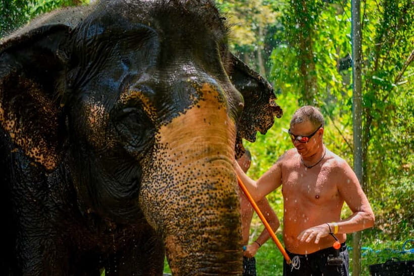 Phuket: Happy Hour Feed and Rain Shower with Elephant - Included Comforts: Tea, Coffee, Snacks, and Water