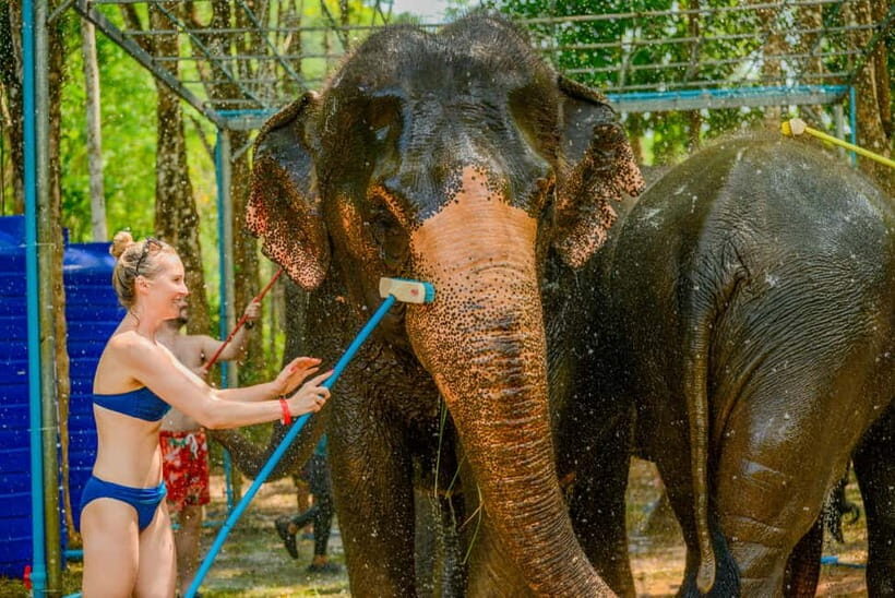 Phuket: Happy Hour Feed and Rain Shower with Elephant - What to Bring: My Practical Checklist for Wet and Bugs