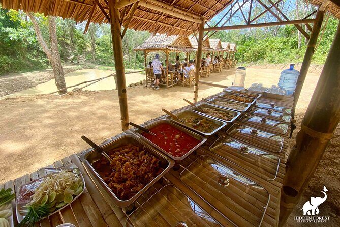 Phuket: Hidden Forest Elephant Reserve Guided Tour with Lunch - Lunch with views: Vegetarian Thai buffet, served later in the circuit