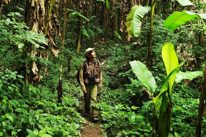 Phuket Jungle Trekking Experience at Khao Phra Taew National Park - Key things to know before you go