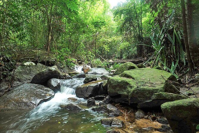 Phuket Jungle Trekking Experience at Khao Phra Taew National Park - Trail Time, Pickup Zones, and the Morning Game Plan