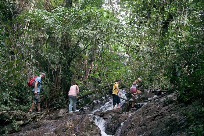 Phuket Jungle Trekking Experience at Khao Phra Taew National Park - Wildlife Chances: What You Might See (and What You Should Expect)