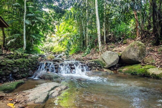 Phuket Jungle Trekking Experience at Khao Phra Taew National Park - Refreshments and the Pace That Makes It Enjoyable