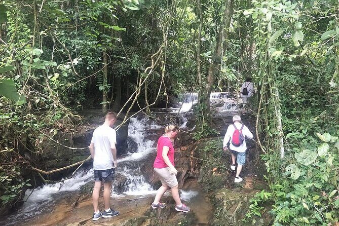 Phuket Jungle Trekking Experience at Khao Phra Taew National Park - Fitness, Clothing, and the Practical Stuff You’ll Be Happy You Did