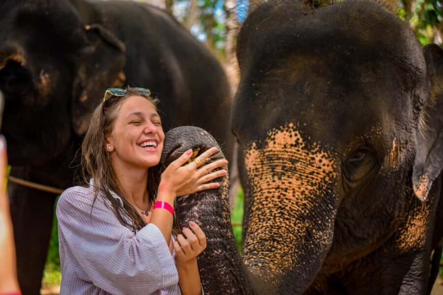 Phuket: Make & Meet The Gentle Giant Experience - Excludes Ocean Bathing: Know What You’re Booking