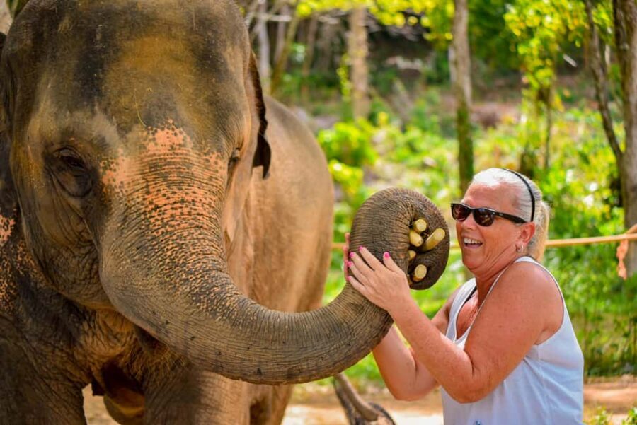 Phuket: Make & Meet The Gentle Giant Experience - Why These Ingredients Matter More Than the Cute Photos