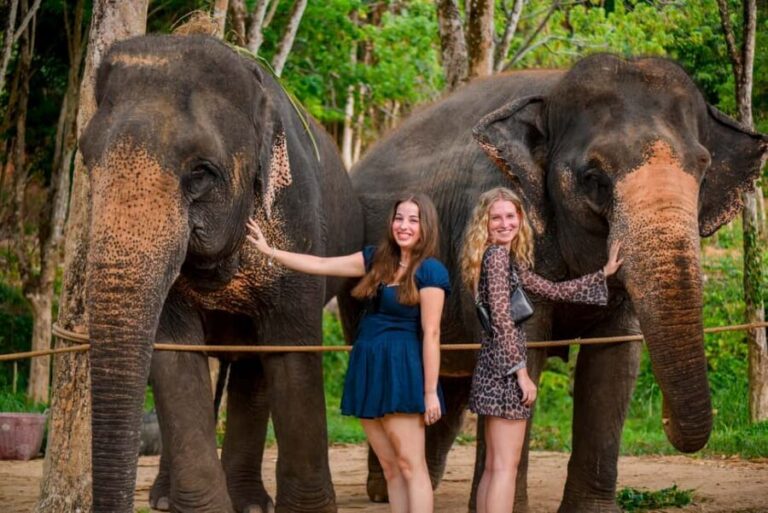 Phuket: Make & Meet The Gentle Giant Experience - The Hands-On Vitamin Ball Workshop (What You’ll Actually Do)