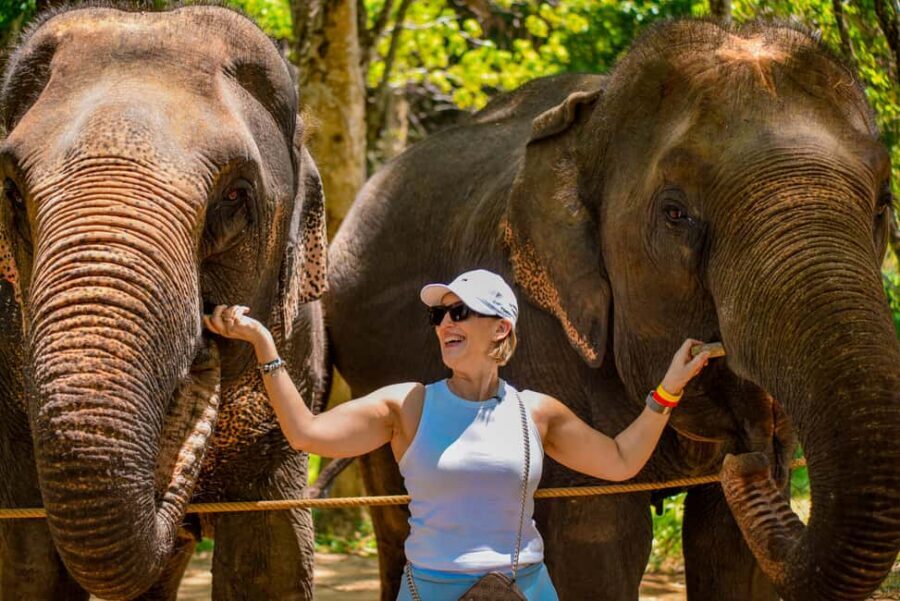 Phuket: Make & Meet The Gentle Giant Experience - Language and On-the-Ground Guidance