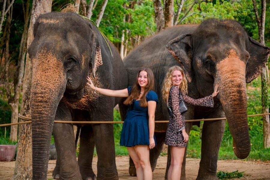 Phuket: Make & Meet The Gentle Giant Experience - The Hands-On Vitamin Ball Workshop (What You’ll Actually Do)