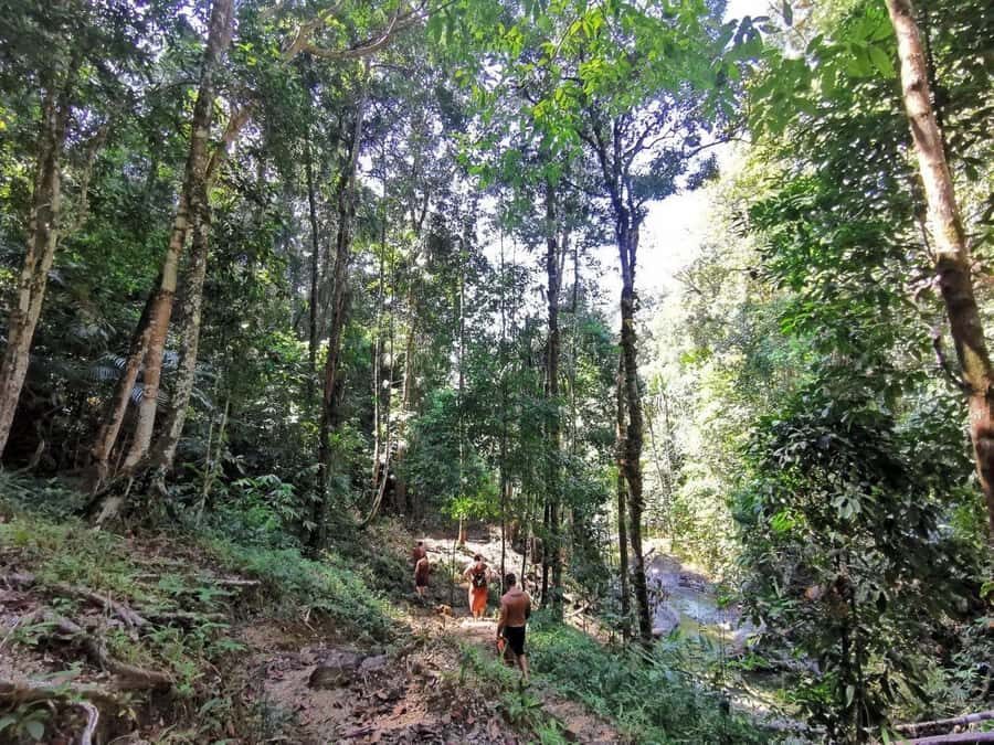 Phuket: Monkey Cave, Water Rafting, Zipline with ATV Option - Optional 30-Minute ATV Ride: Fun, Timing, and Who Can Drive