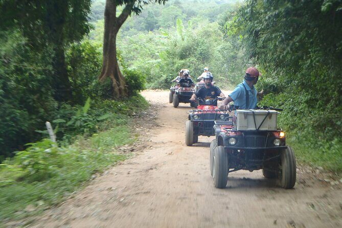 Phuket Paradise ATV and Zipline Experience - Zipline Over the Trees: What 18 vs 32 Platforms Feels Like