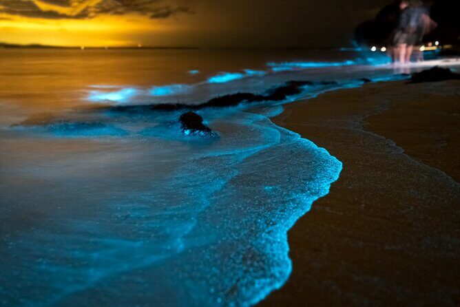 Phuket: Phang Nga Bay Bioluminescent Plankton and Sea Canoes tour - A Full Day in Phang Nga Bay: How This Tour Feels in Real Life