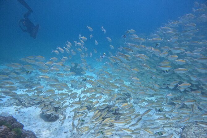 Phuket: Scuba Dive Racha and Coral Islands with Snorkeling Tour - Practical tips so your day goes smoothly