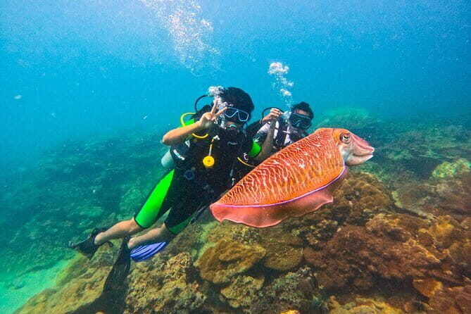 Phuket Scuba Diving Maiton Private Island Small Group or Snorkel - Key things I’d focus on before you go