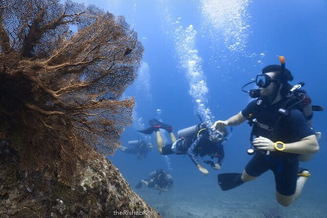 Phuket Scuba Diving Phi Phi Islands (Certified Divers Only) - Price and Value: What You Pay, What You Add Later