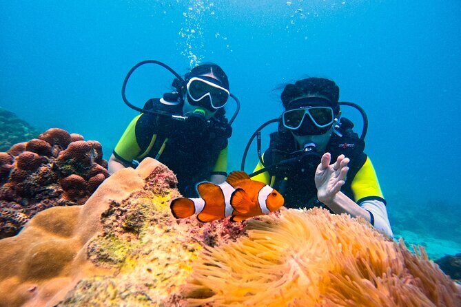 Phuket Scuba Diving: Racha Island Or Maiton Island For All Levels - Key takeaways