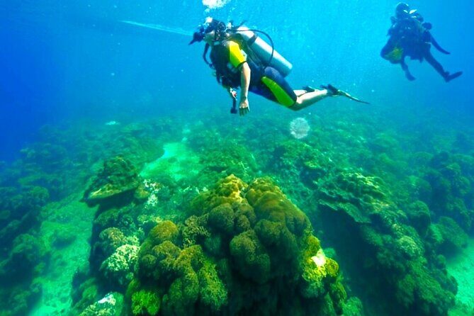 Phuket Scuba Diving: Racha Island Or Maiton Island For All Levels - Phuket scuba choices: Racha versus Maithon