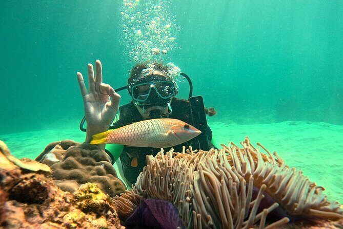 Phuket Scuba Diving: Racha Island Or Maiton Island For All Levels - Stop-by-stop: what each island day feels like