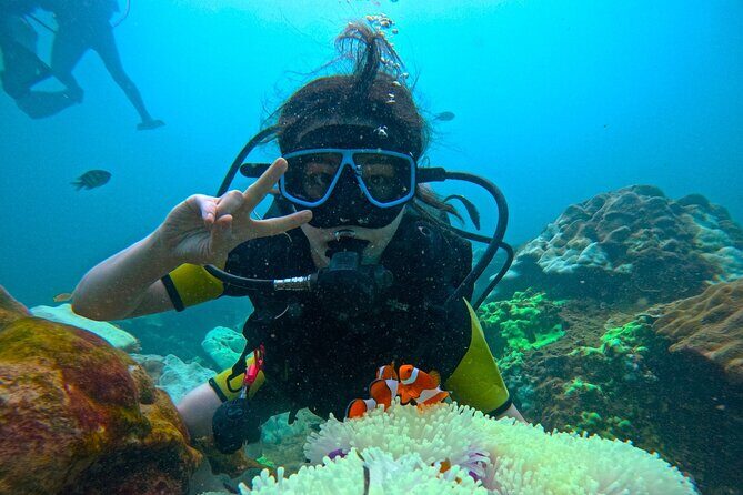 Phuket Scuba Diving: Racha Island Or Maiton Island For All Levels - Marine life and the reef-touch rules you should take seriously