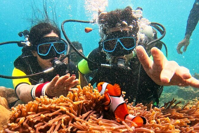 Phuket Scuba Diving: Racha Island Or Maiton Island For All Levels - Price and value: what $97.79 buys you