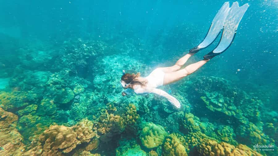 Phuket: Speedboat Day Trip to Phi Phi and Maya Bay - The vibe: a full day of speed, sea, and scheduled stops